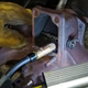 Image for article titled A Simple Electrical Issue Has Stopped My $500 Postal Jeep Project in Its Tracks